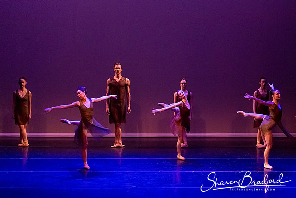 Ballet Dallas Seasons pc Sharen Bradford-1433