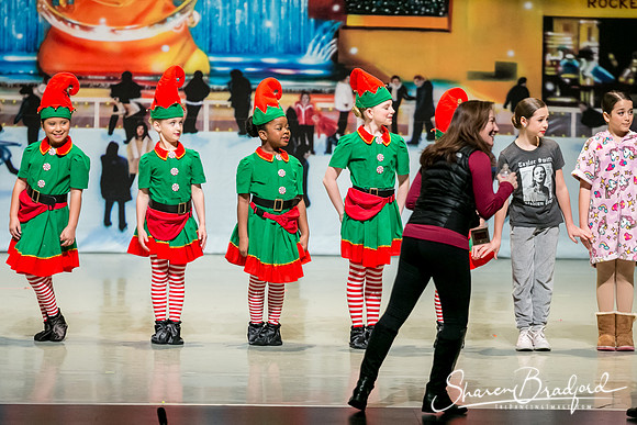 Rockefeller Christmas 1 pc Sharen Bradford-4772