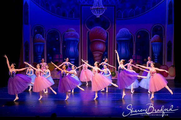 Waltz of the Flowers pc Sharen Bradford-1841