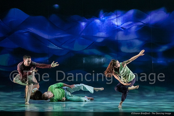 Motionhouse SCATTERED-0587