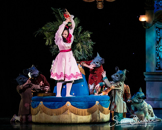 Nutcracker matinee pc Sharen Bradford-4748