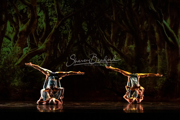 MOMIX Alice pc Sharen Bradford-0934