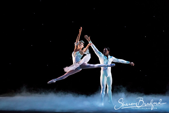 ASFB Nutcracker pc Sharen Bradford-0043