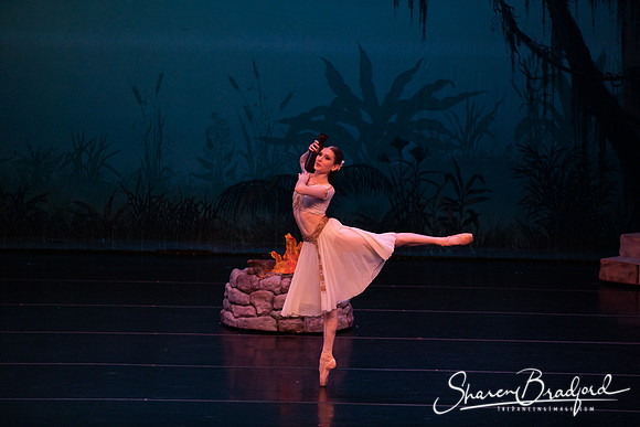 TDC La Bayadere pc Sharen Bradford-2570