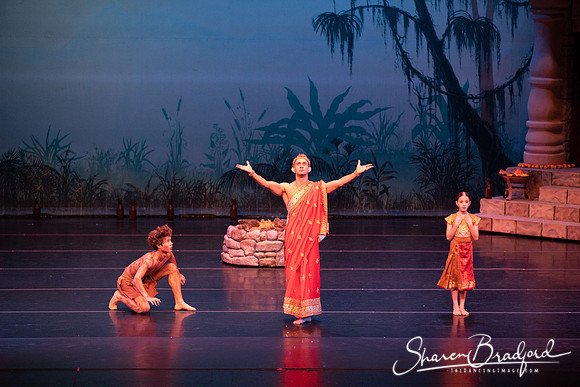 TDC La Bayadere pc Sharen Bradford-2422