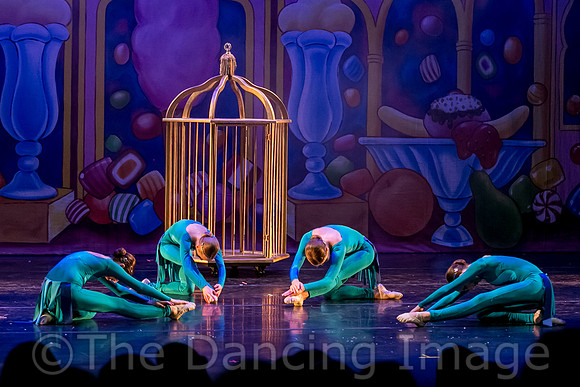 Royale Ballet Nutcracker-1817