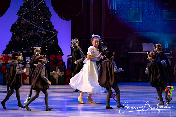CCBT Nutcracker 19 pc Sharen Bradford-4419