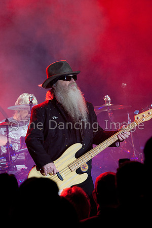 ZZ Top 2010-5952