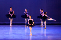 The Black Swans-3405