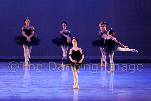 The Black Swans-3405
