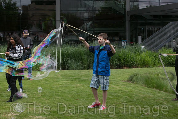 MJS_5205