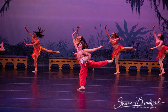 TDC La Bayadere pc Sharen Bradford-2980