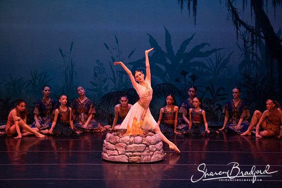 TDC La Bayadere pc Sharen Bradford-2534