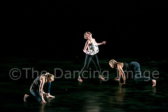 Jacksonville Dance Theatre-0245