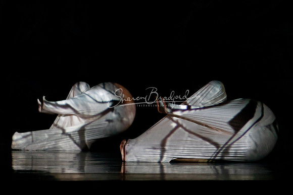 MOMIX Alice pc Sharen Bradford-1027