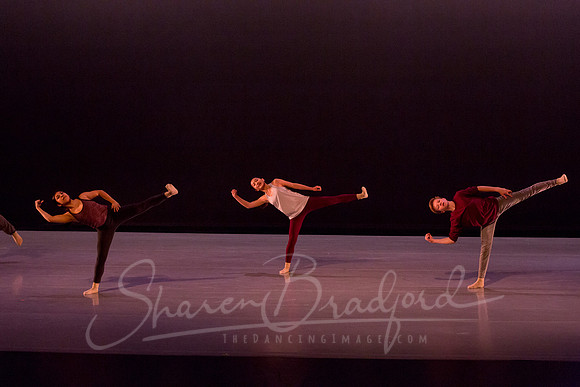 Peculiarity pc Sharen Bradford-7134