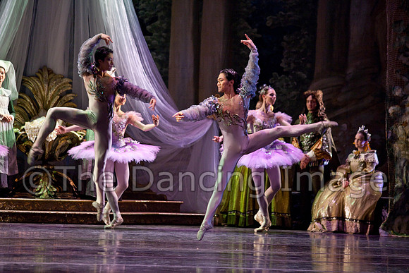 TB Sleeping Beauty Wed.-0059