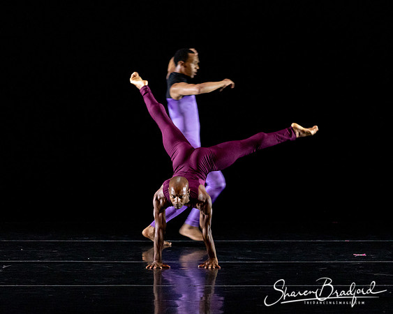DBDT Execution of a Sentiment pc Sharen Bradford-1094