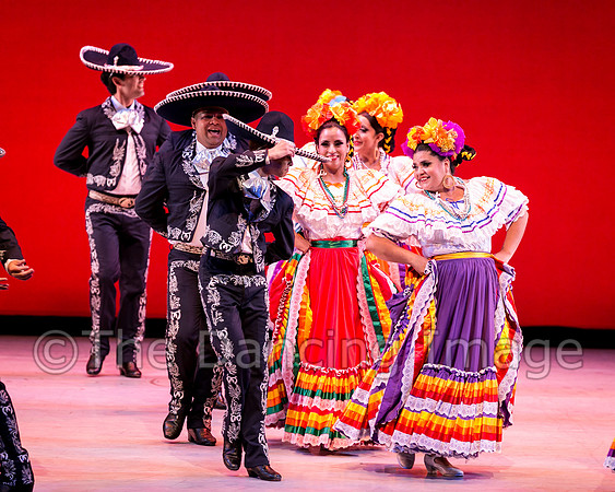 Mosaic Dance Project-0392