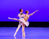 TBT Sleeping Beauty Pas pc Sharen Bradford-1393
