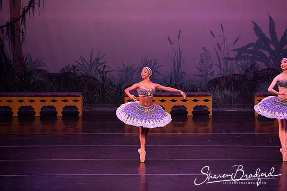 TDC La Bayadere pc Sharen Bradford-2943