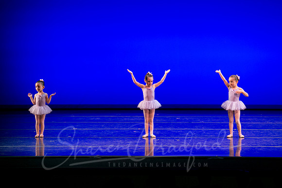 Water Lillies-0287