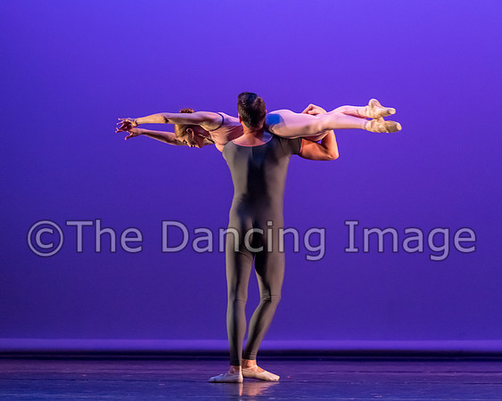 Dream on a Cirrus Sky-6499