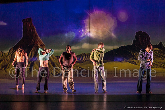Motionhouse SCATTERED-0509
