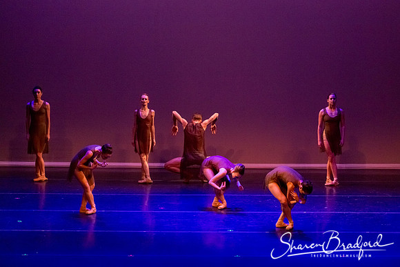 Ballet Dallas Seasons pc Sharen Bradford-1448