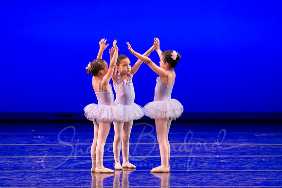 Water Lillies-0325