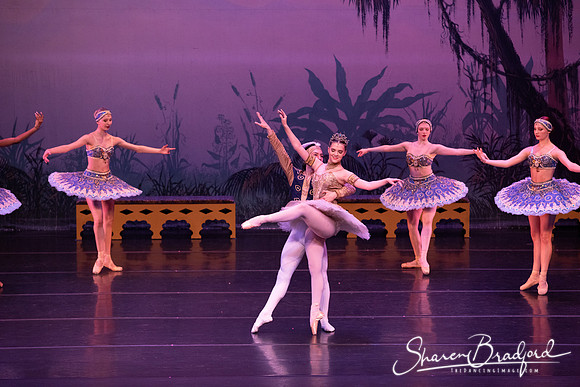 TDC La Bayadere pc Sharen Bradford-3136
