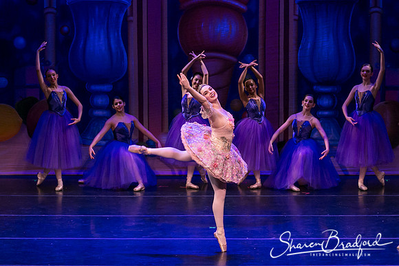 Waltz of the Flowers pc Sharen Bradford-1762