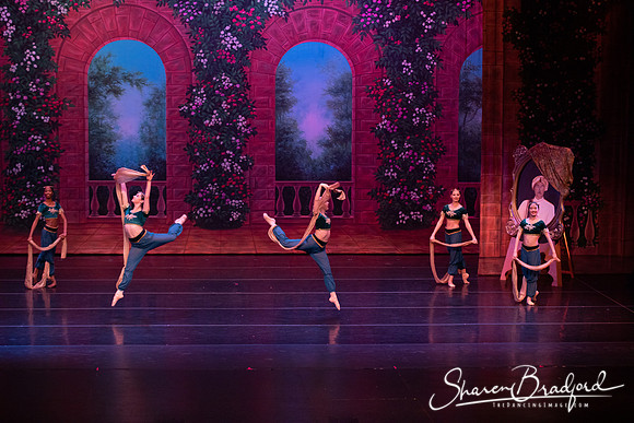TDC La Bayadere pc Sharen Bradford-2744