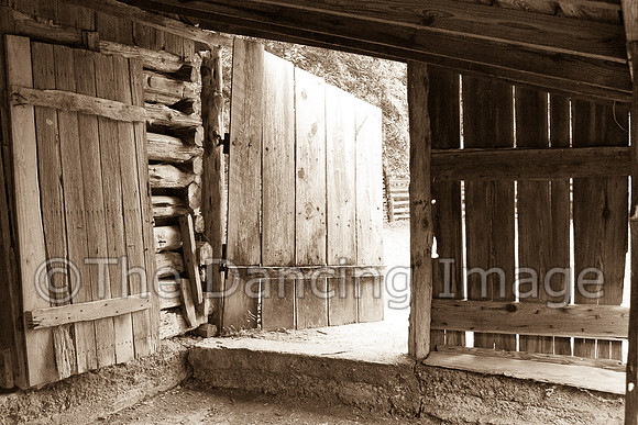 Penn Farm-0821