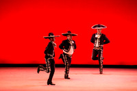 Mosaic Dance Project-0319