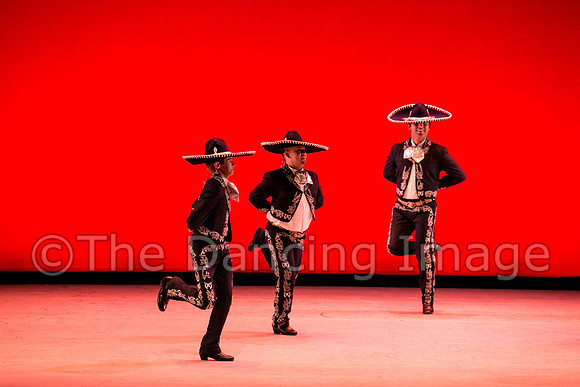Mosaic Dance Project-0319