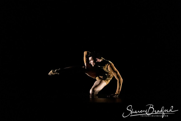 ASFB Beautiful Decay pc Sharen Bradford-2252