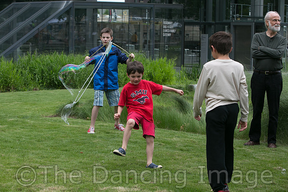 MJS_5199