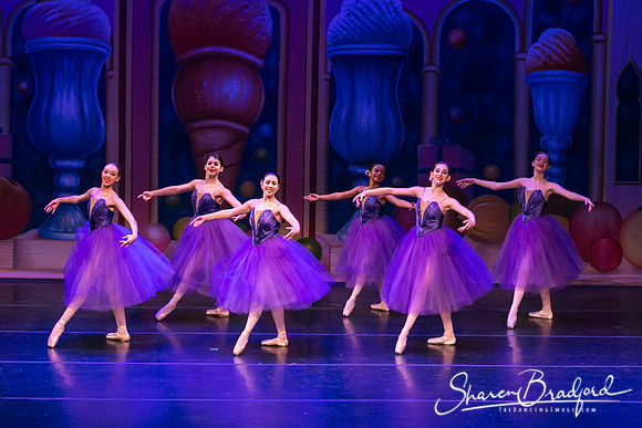 Waltz of the Flowers pc Sharen Bradford-1779