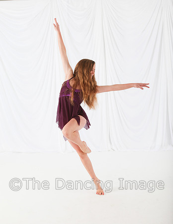 Moen_1386