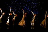 Luminous pc Sharen Bradford-40347