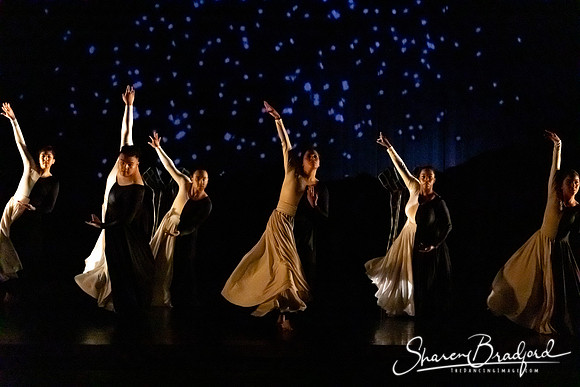 Luminous pc Sharen Bradford-40347