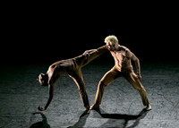 img-1263