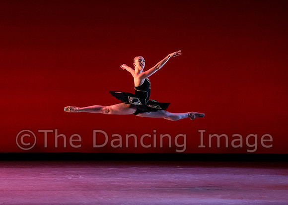 Texas Ballet Theater School-1557