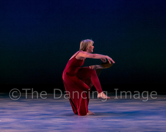 Houston METdance-3129