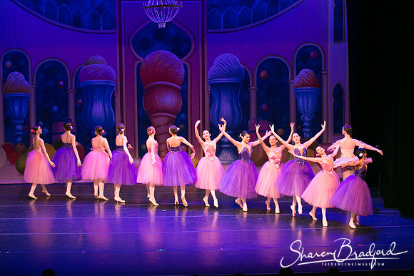 Waltz of the Flowers pc Sharen Bradford-1821