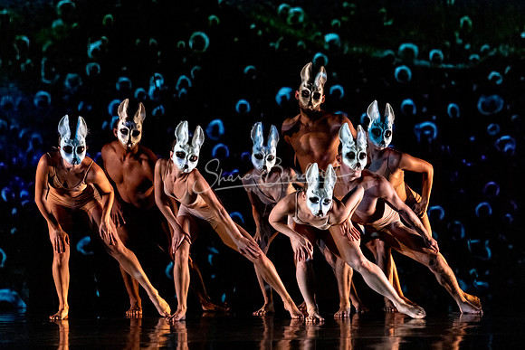 MOMIX Alice pc Sharen Bradford-0164-2
