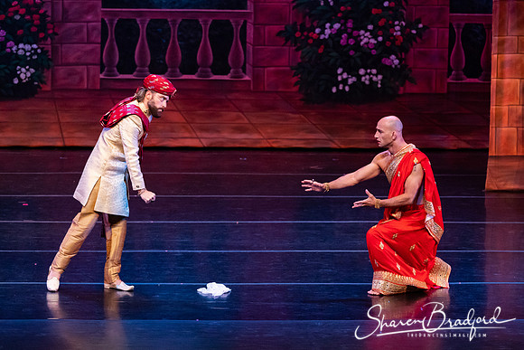 TDC La Bayadere pc Sharen Bradford-2803