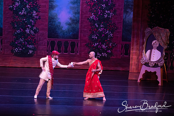 TDC La Bayadere pc Sharen Bradford-2799