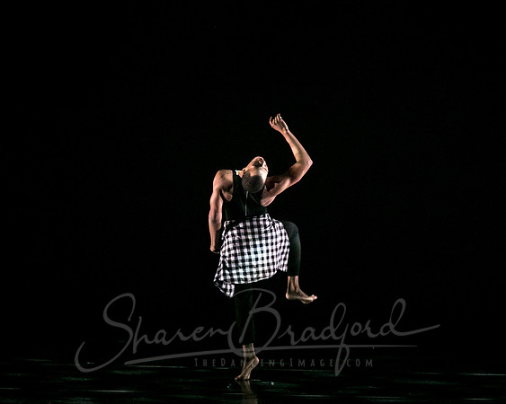 DBDT pc Sharen Bradford-2890